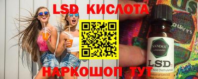 мяу мяу мука Краснознаменск