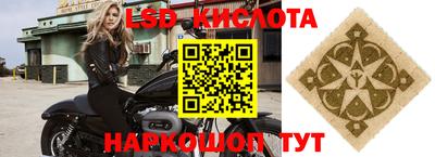 мяу мяу мука Краснознаменск