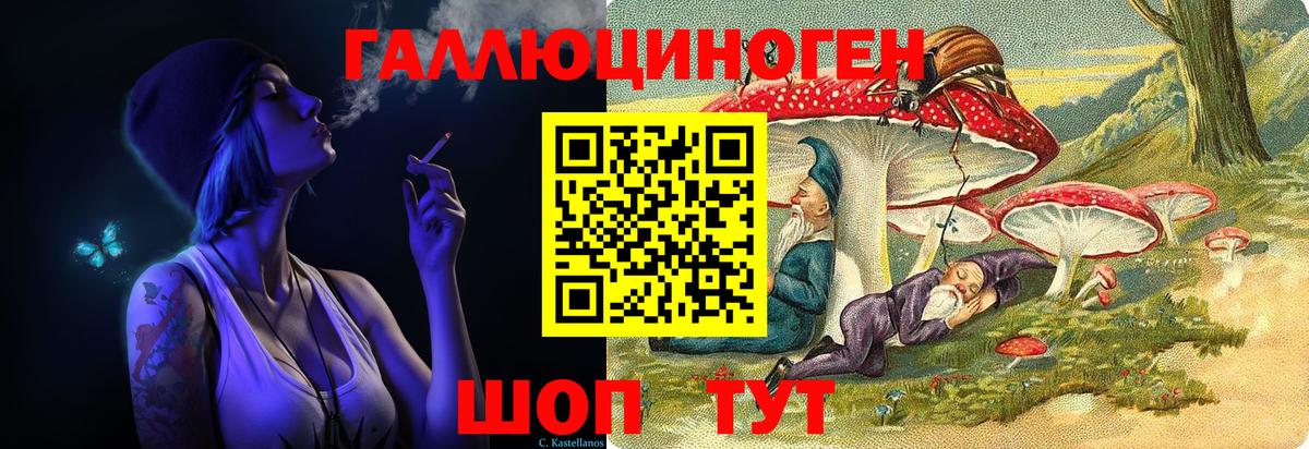 закладка  Галлюциногенные грибы мицелий  Вход с VPN  Заводоуковск 